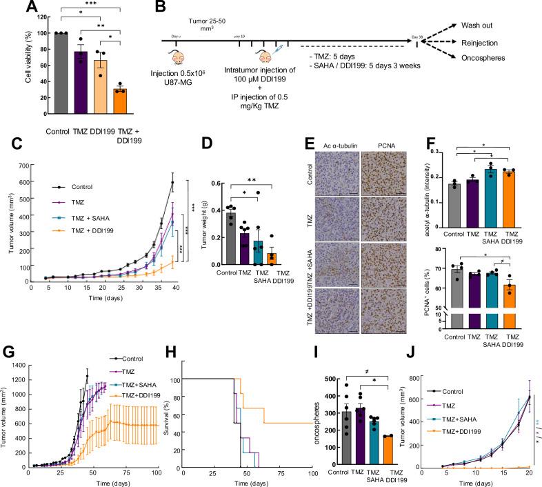 https://cdn.ncbi.nlm.nih.gov/pmc/blobs/9dbd/11971462/4a318a58520f/41419_2025_7569_Fig6_HTML.jpg