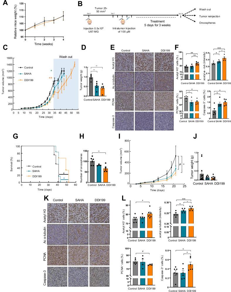 https://cdn.ncbi.nlm.nih.gov/pmc/blobs/9dbd/11971462/c4e6f3d90682/41419_2025_7569_Fig5_HTML.jpg