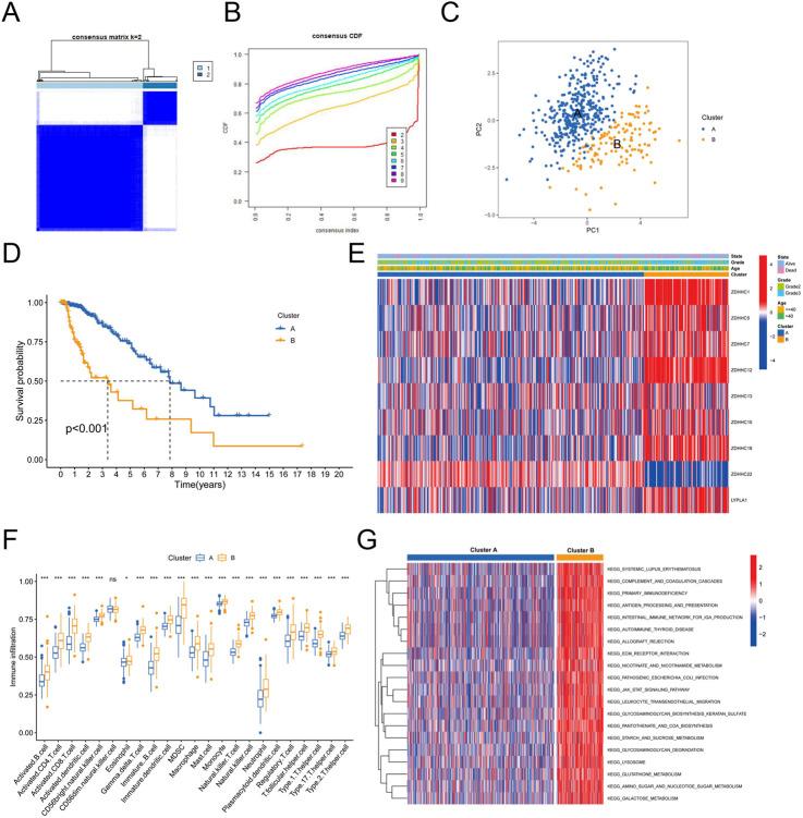 https://cdn.ncbi.nlm.nih.gov/pmc/blobs/9dbe/12175176/add0a2f2724e/fphar-16-1586921-g002.jpg