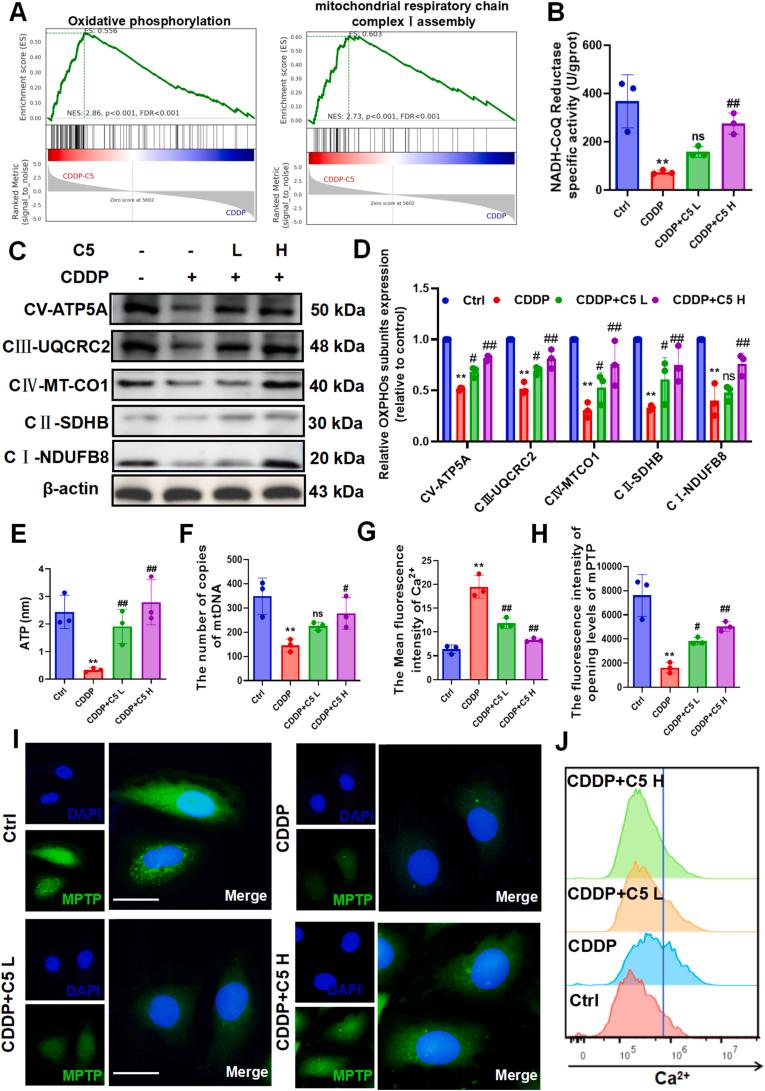https://cdn.ncbi.nlm.nih.gov/pmc/blobs/9dbf/12270011/54da5830b606/gr7.jpg