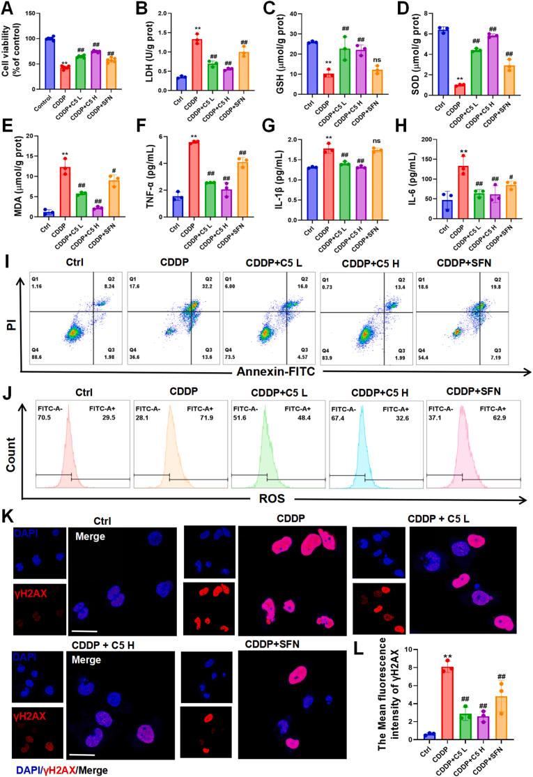 https://cdn.ncbi.nlm.nih.gov/pmc/blobs/9dbf/12270011/68afb8a184a9/gr5.jpg