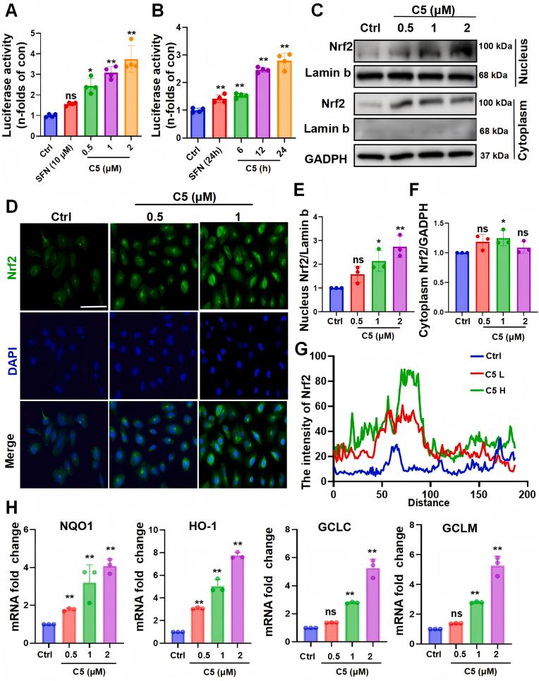 https://cdn.ncbi.nlm.nih.gov/pmc/blobs/9dbf/12270011/8564d79991e6/gr2.jpg