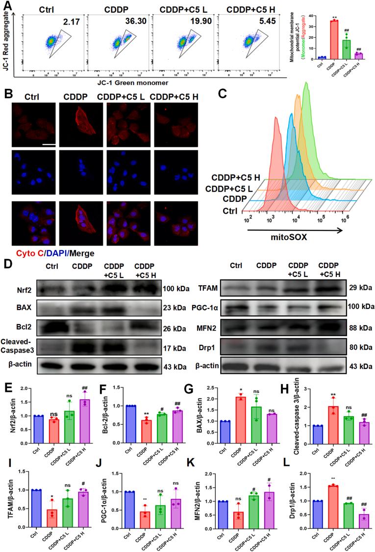 https://cdn.ncbi.nlm.nih.gov/pmc/blobs/9dbf/12270011/af1d66a10952/gr8.jpg