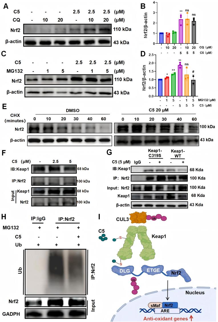 https://cdn.ncbi.nlm.nih.gov/pmc/blobs/9dbf/12270011/bb9dcb7cce9f/gr4.jpg
