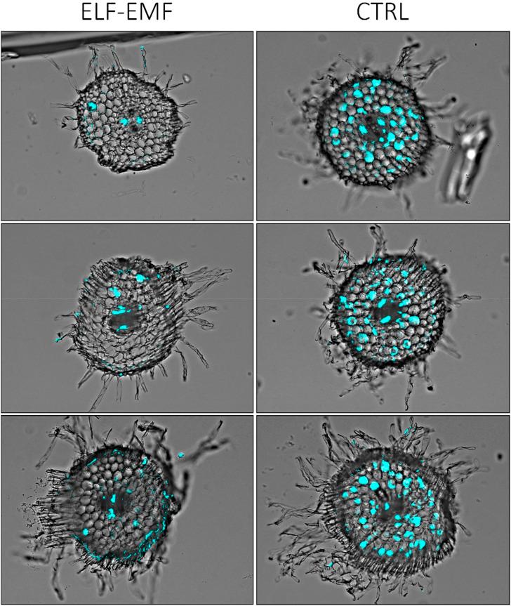 https://cdn.ncbi.nlm.nih.gov/pmc/blobs/9dc0/10282948/797268be0774/fgene-14-1205469-g011.jpg