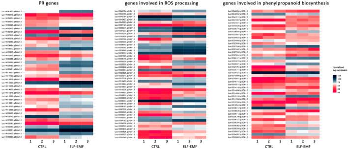 https://cdn.ncbi.nlm.nih.gov/pmc/blobs/9dc0/10282948/c81160a3f37b/fgene-14-1205469-g009.jpg
