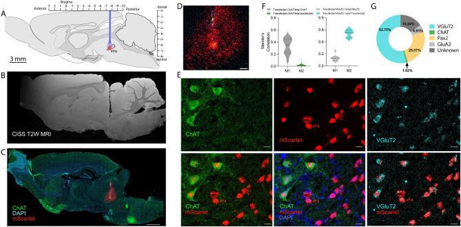 https://cdn.ncbi.nlm.nih.gov/pmc/blobs/9dc1/12102179/00876838aca4/41598_2025_1695_Fig5_HTML.jpg