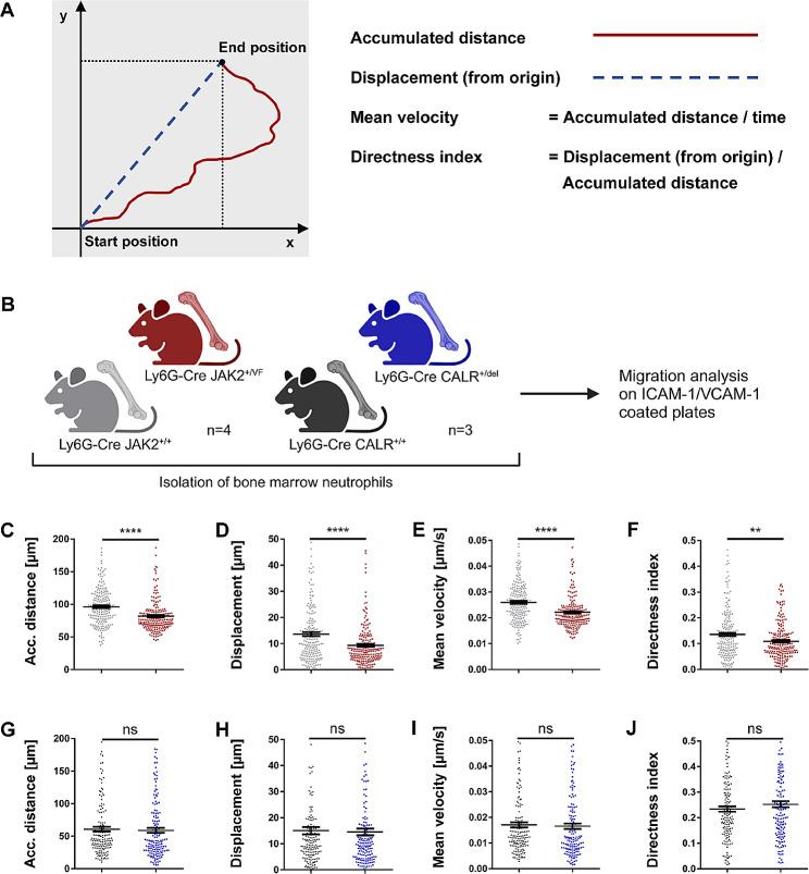 https://cdn.ncbi.nlm.nih.gov/pmc/blobs/9dc2/11163796/0e796817f720/13045_2024_1562_Fig6_HTML.jpg