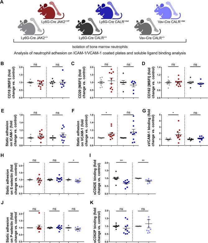 https://cdn.ncbi.nlm.nih.gov/pmc/blobs/9dc2/11163796/708923d98dcb/13045_2024_1562_Fig8_HTML.jpg