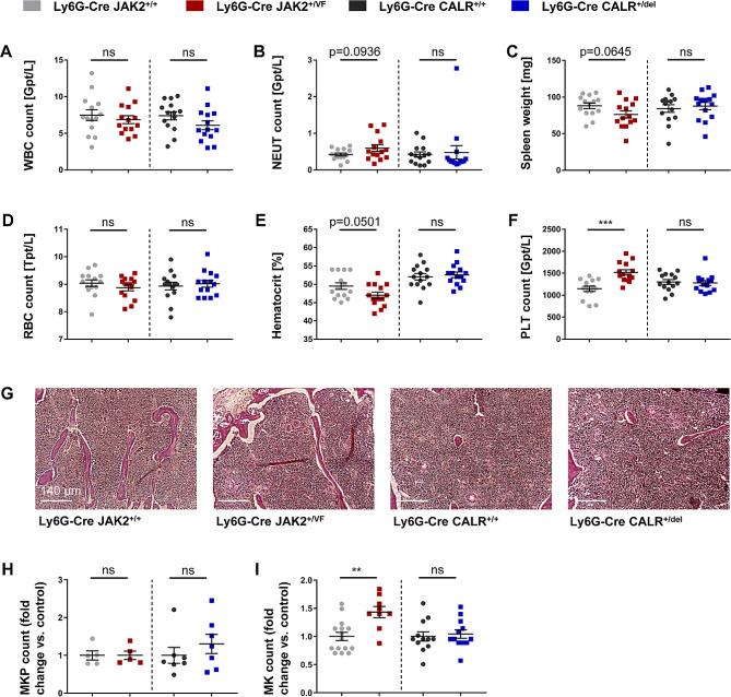 https://cdn.ncbi.nlm.nih.gov/pmc/blobs/9dc2/11163796/84629e30ea71/13045_2024_1562_Fig1_HTML.jpg
