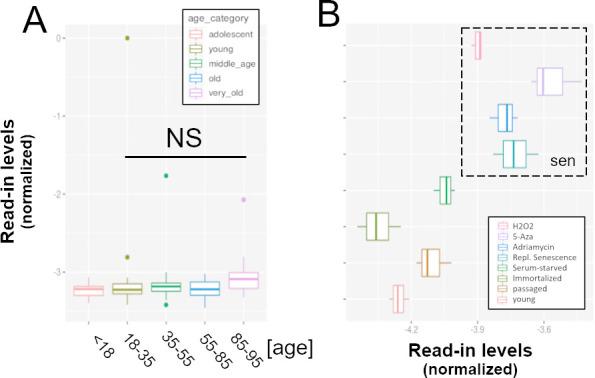 https://cdn.ncbi.nlm.nih.gov/pmc/blobs/9dc3/10990488/4a099d59b121/elife-87811-fig4-figsupp3.jpg