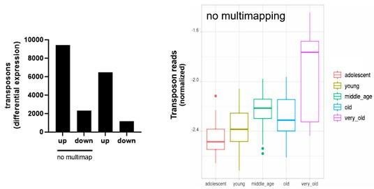 https://cdn.ncbi.nlm.nih.gov/pmc/blobs/9dc3/10990488/4aa8cab5463f/elife-87811-sa2-fig11.jpg