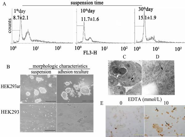 https://cdn.ncbi.nlm.nih.gov/pmc/blobs/9dc5/2864199/b6423234b5d0/1471-2121-11-27-1.jpg