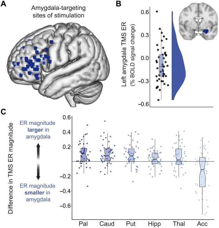 https://cdn.ncbi.nlm.nih.gov/pmc/blobs/9dc5/9217085/242190bc7316/sciadv.abn5803-f2.jpg