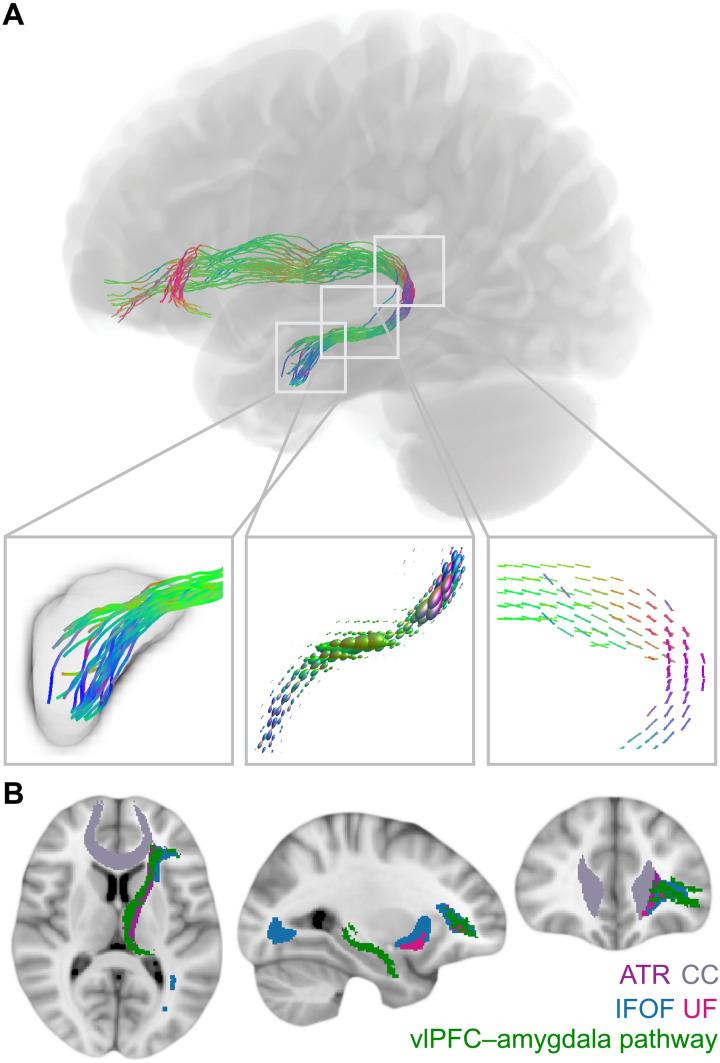https://cdn.ncbi.nlm.nih.gov/pmc/blobs/9dc5/9217085/cfff6b1878e2/sciadv.abn5803-f3.jpg