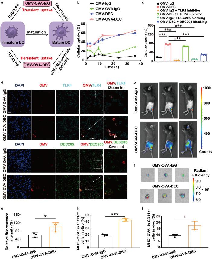https://cdn.ncbi.nlm.nih.gov/pmc/blobs/9dc6/11197747/2c6855773e9b/gr2.jpg