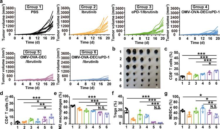 https://cdn.ncbi.nlm.nih.gov/pmc/blobs/9dc6/11197747/45868e8b9634/gr6.jpg