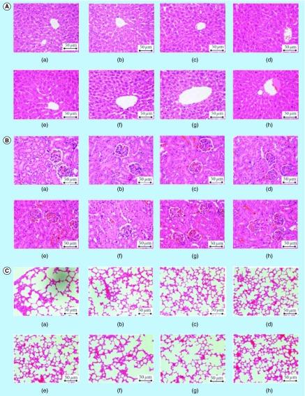 https://cdn.ncbi.nlm.nih.gov/pmc/blobs/9dc6/5137980/2c3853a22d5c/fsoa-02-135-g9.jpg