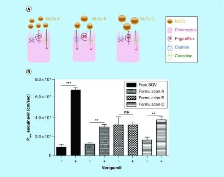 https://cdn.ncbi.nlm.nih.gov/pmc/blobs/9dc6/5137980/a0e364eef5cf/fsoa-02-135-g7.jpg