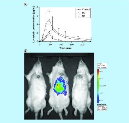 https://cdn.ncbi.nlm.nih.gov/pmc/blobs/9dc6/5137980/beab571957a6/fsoa-02-135-g3.jpg