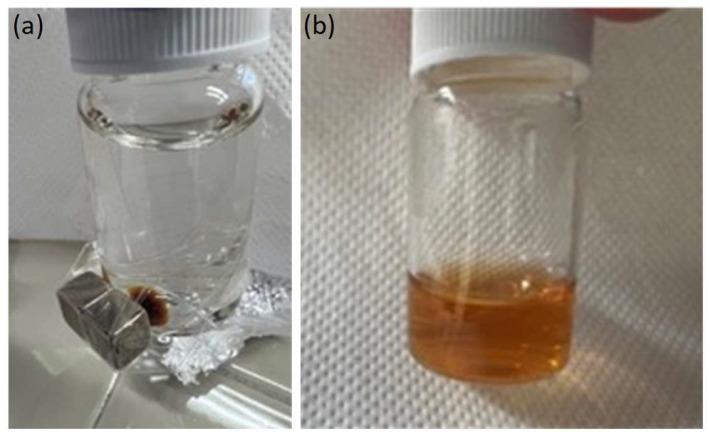 https://cdn.ncbi.nlm.nih.gov/pmc/blobs/9dc7/9919024/26ec1a5cc9f0/molecules-28-01163-g002.jpg