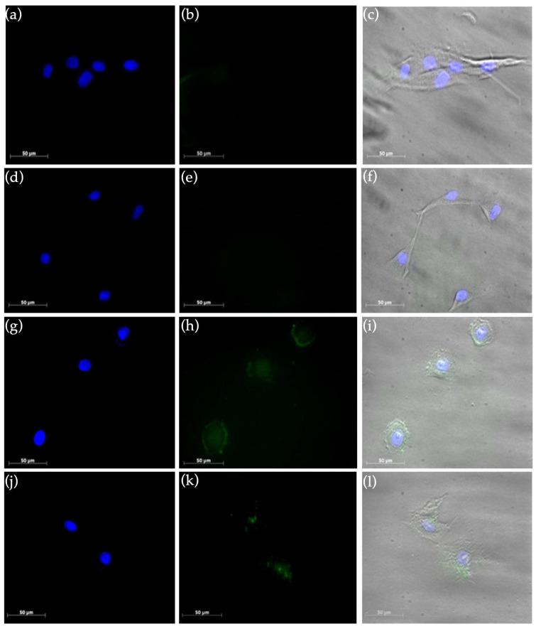 https://cdn.ncbi.nlm.nih.gov/pmc/blobs/9dc7/9919024/9f7725ef293e/molecules-28-01163-g008.jpg