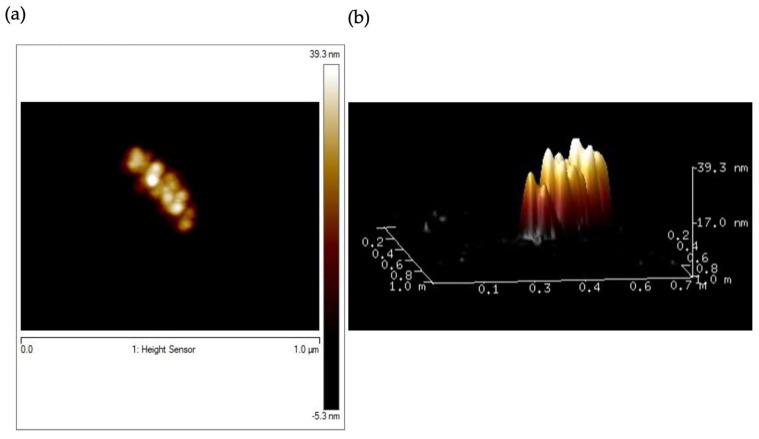 https://cdn.ncbi.nlm.nih.gov/pmc/blobs/9dc7/9919024/c04283d8d3b4/molecules-28-01163-g005.jpg