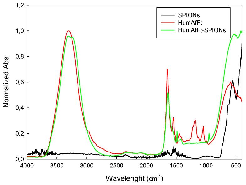 https://cdn.ncbi.nlm.nih.gov/pmc/blobs/9dc7/9919024/c19c0e0f0d63/molecules-28-01163-g004.jpg