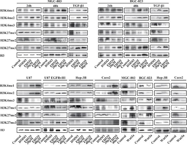 https://cdn.ncbi.nlm.nih.gov/pmc/blobs/9dcc/5078082/52863e420756/oncotarget-07-33152-g003.jpg