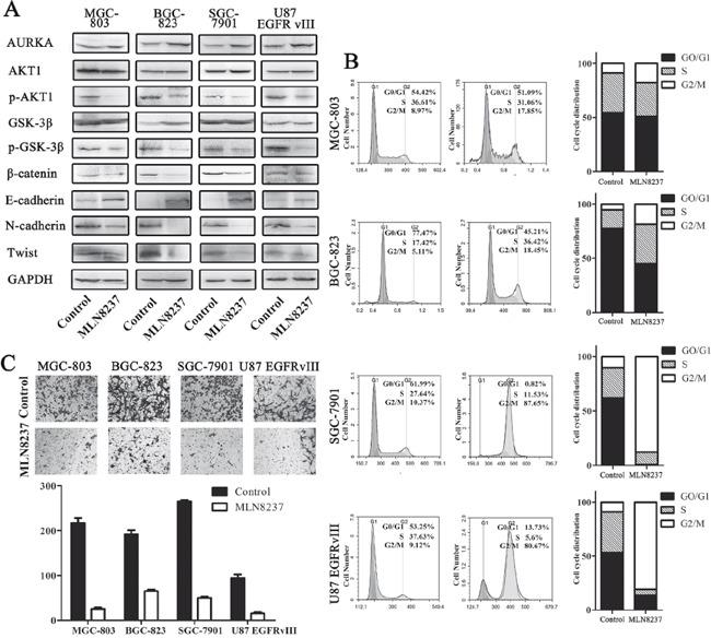 https://cdn.ncbi.nlm.nih.gov/pmc/blobs/9dcc/5078082/b77983736c59/oncotarget-07-33152-g002.jpg