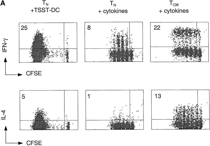 https://cdn.ncbi.nlm.nih.gov/pmc/blobs/9dce/2193568/0f51242818a9/011514f6a.jpg