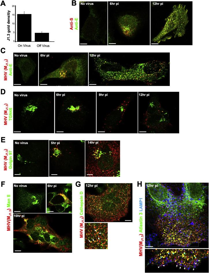 https://cdn.ncbi.nlm.nih.gov/pmc/blobs/9dce/7590812/c349126ef5f6/figs2_lrg.jpg