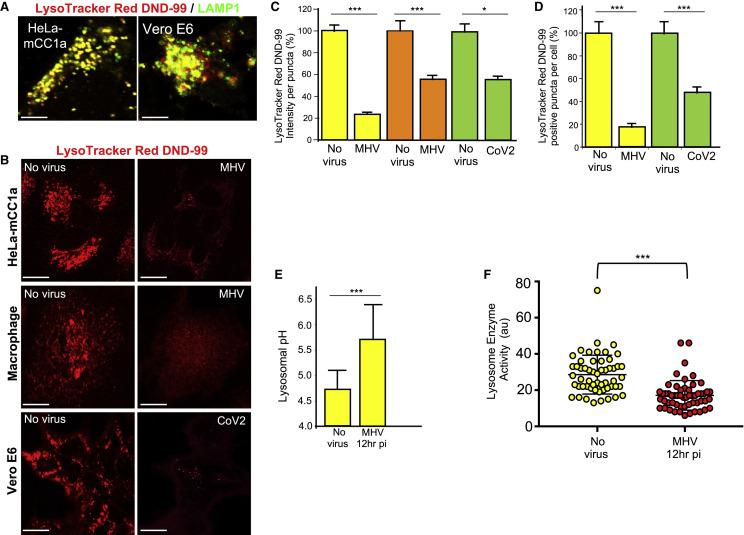 https://cdn.ncbi.nlm.nih.gov/pmc/blobs/9dce/7590812/c7385a3bd893/gr6_lrg.jpg