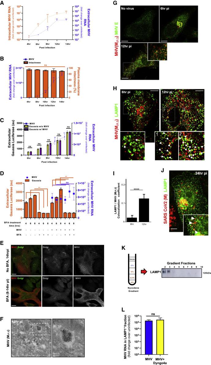 https://cdn.ncbi.nlm.nih.gov/pmc/blobs/9dce/7590812/cfc002be8f8a/gr1_lrg.jpg
