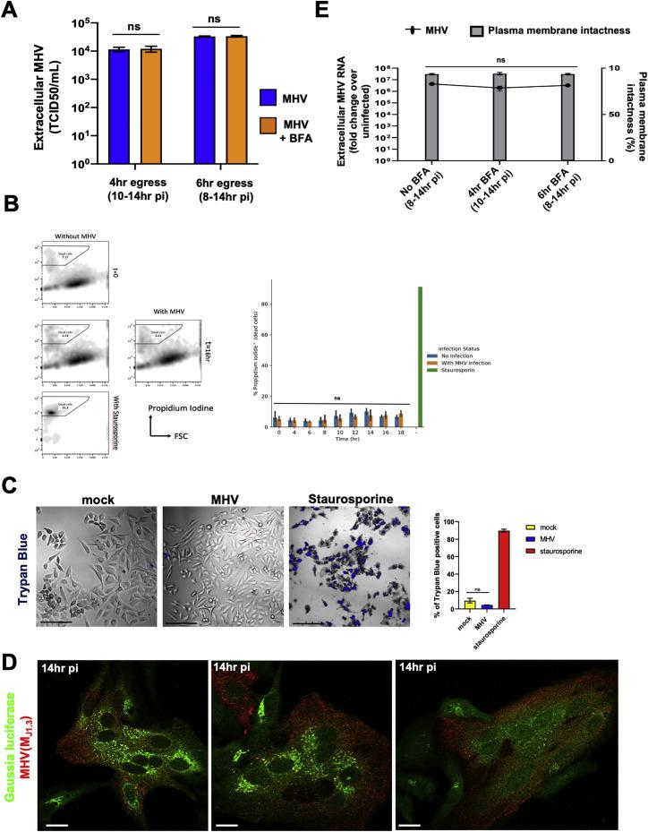 https://cdn.ncbi.nlm.nih.gov/pmc/blobs/9dce/7590812/feb00a911311/figs1_lrg.jpg