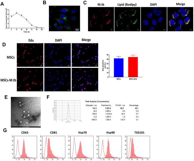 https://cdn.ncbi.nlm.nih.gov/pmc/blobs/9dd0/8109131/19f006ec045e/aging-13-202854-g002.jpg
