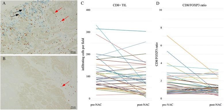 https://cdn.ncbi.nlm.nih.gov/pmc/blobs/9dd1/4560879/a464fb5e1c14/13058_2015_632_Fig4_HTML.jpg