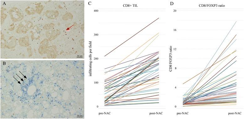 https://cdn.ncbi.nlm.nih.gov/pmc/blobs/9dd1/4560879/b586178f9dfe/13058_2015_632_Fig3_HTML.jpg