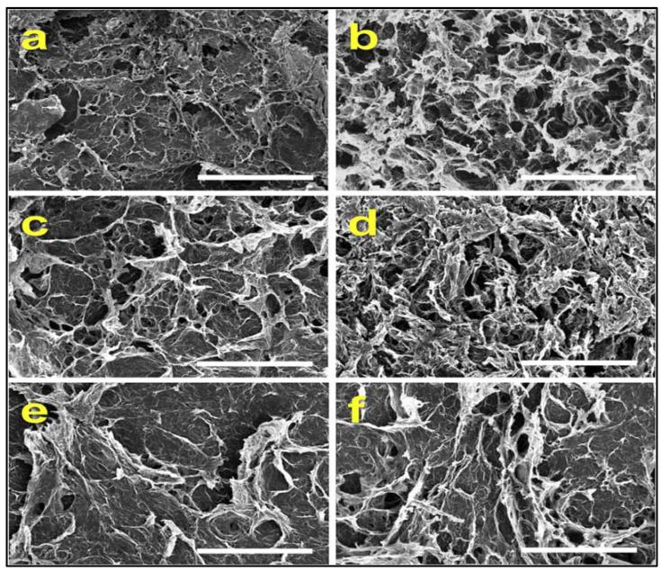 https://cdn.ncbi.nlm.nih.gov/pmc/blobs/9dd3/9919781/2924417cf9ff/materials-16-01155-g006.jpg