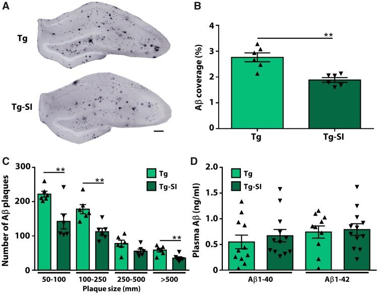 https://cdn.ncbi.nlm.nih.gov/pmc/blobs/9dd5/6935751/93da092f2daf/awz371f2.jpg