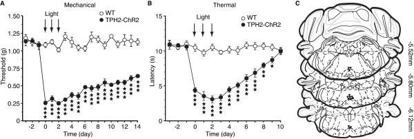 https://cdn.ncbi.nlm.nih.gov/pmc/blobs/9dd6/4247651/772765e8f705/12990_2014_675_Fig6_HTML.jpg