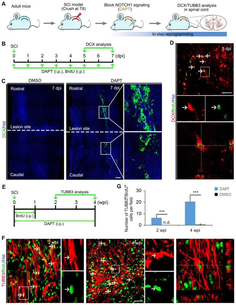 https://cdn.ncbi.nlm.nih.gov/pmc/blobs/9dd6/9254256/1f7f31edad05/thnov12p4548g004.jpg