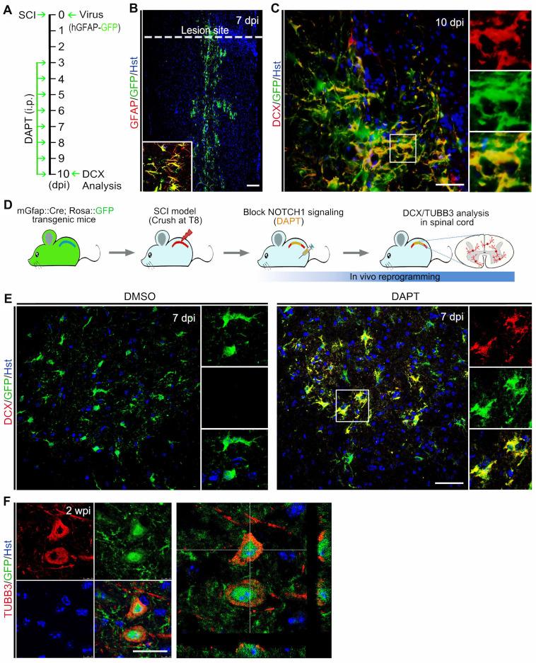 https://cdn.ncbi.nlm.nih.gov/pmc/blobs/9dd6/9254256/780cf476a2f4/thnov12p4548g005.jpg