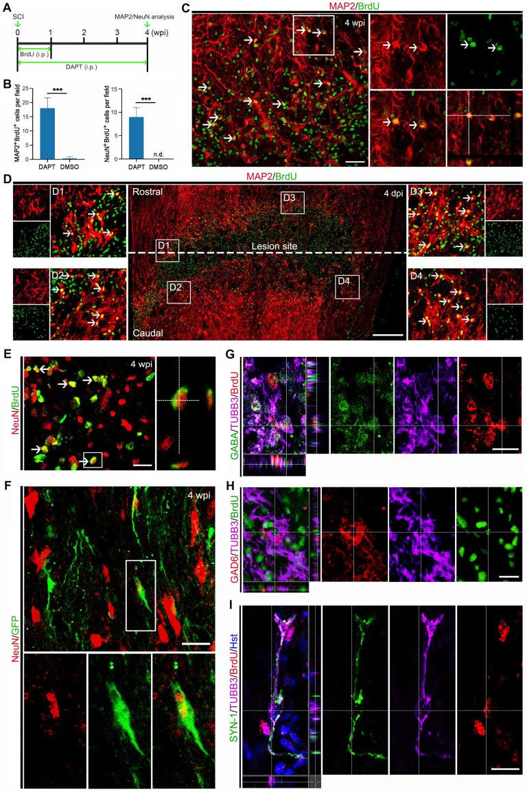 https://cdn.ncbi.nlm.nih.gov/pmc/blobs/9dd6/9254256/8f38a2bdc30e/thnov12p4548g006.jpg