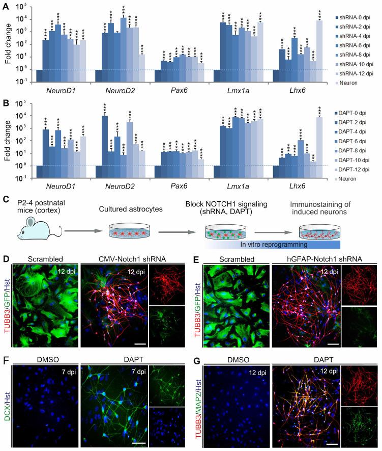 https://cdn.ncbi.nlm.nih.gov/pmc/blobs/9dd6/9254256/9a75e122b9de/thnov12p4548g002.jpg