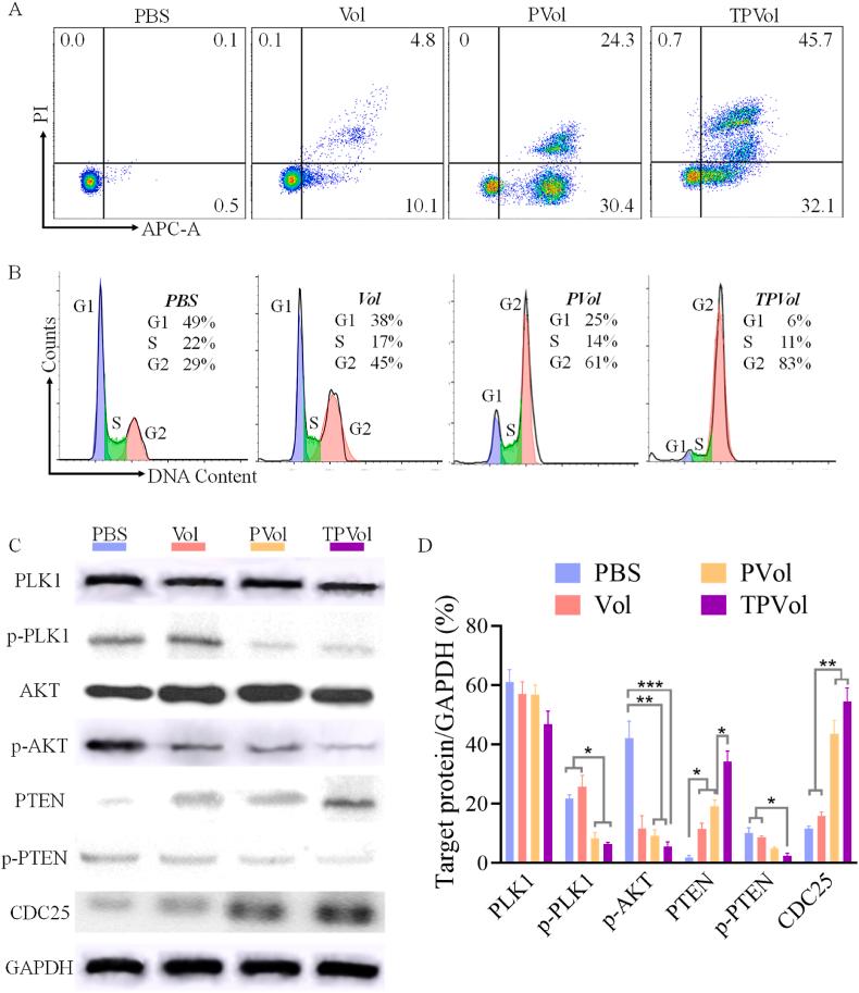 https://cdn.ncbi.nlm.nih.gov/pmc/blobs/9dd9/9494038/6ef340656c5b/gr3.jpg