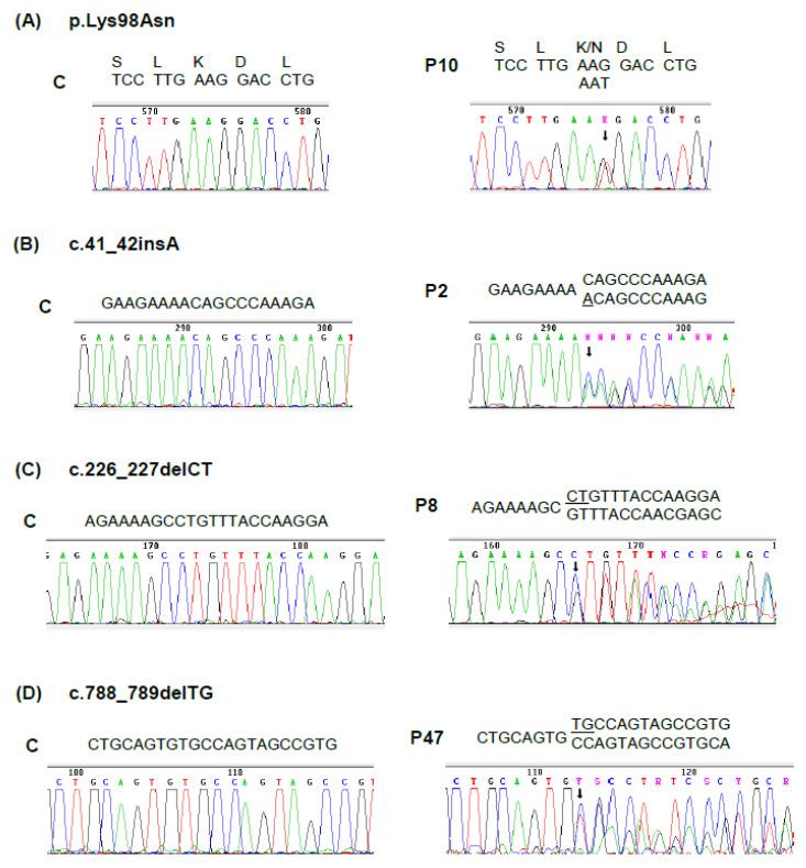 https://cdn.ncbi.nlm.nih.gov/pmc/blobs/9ddb/7464722/1c3e6961dceb/genes-11-00924-g003.jpg