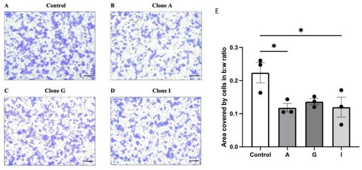 https://cdn.ncbi.nlm.nih.gov/pmc/blobs/9ddd/12031891/c5cff4680a73/10549_2025_7667_Fig4_HTML.jpg