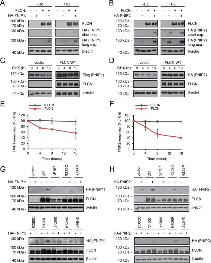 https://cdn.ncbi.nlm.nih.gov/pmc/blobs/9ddd/7660926/3403525bdfae/pgen.1009187.g004.jpg