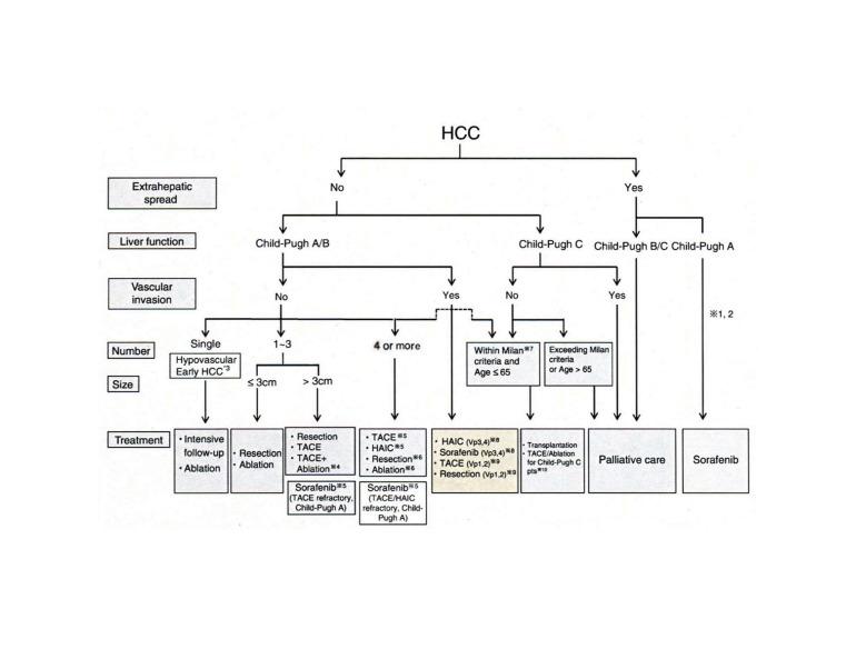 https://cdn.ncbi.nlm.nih.gov/pmc/blobs/9ddf/3496873/b604e96db7fe/hepatmon-12-10-5945-i001.jpg